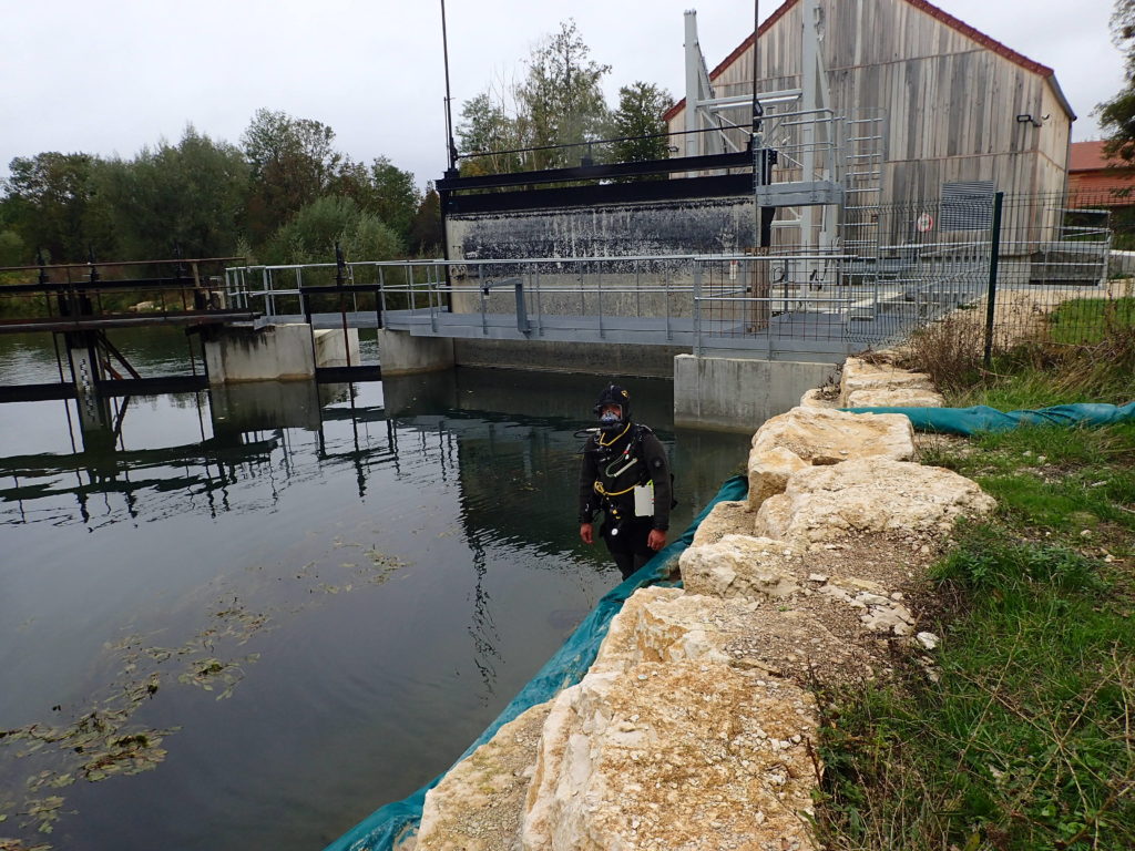 Réalisation d'une plongée subaquatique dans la Seine pour l'inventaire des mollusques aquatiques grands bivalves